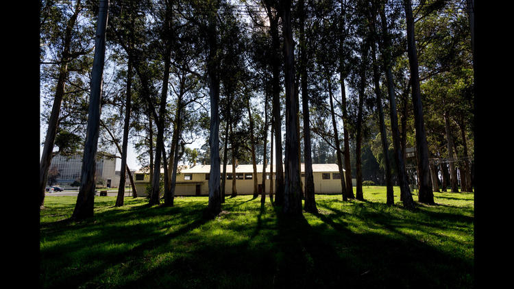 Richmond Field Station